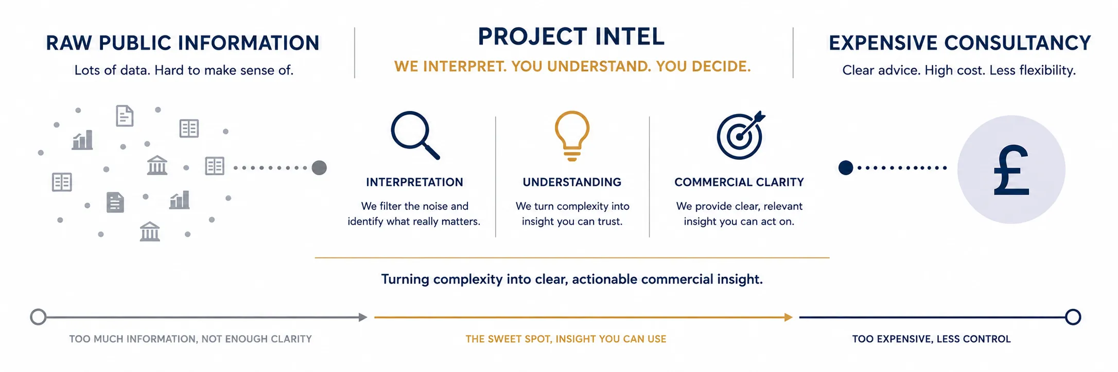 Project Intel positioned between raw public information and expensive consultancy.